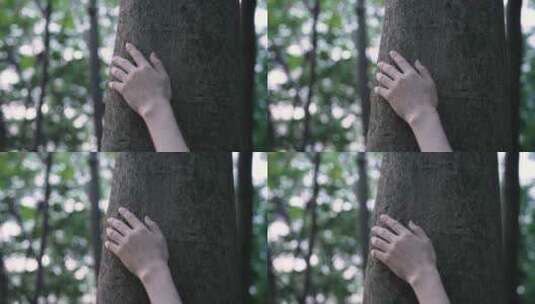 女孩手抚摸大树树干4k视频素材高清在线视频素材下载