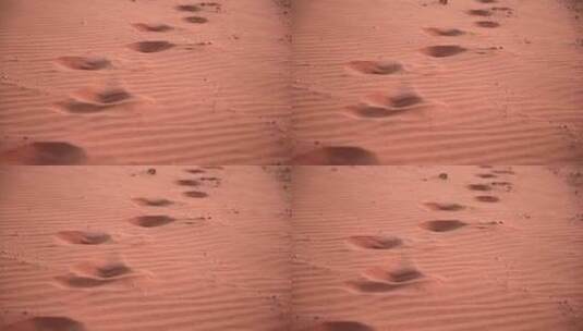瓦迪朗姆沙漠红色沙滩上的脚印高清在线视频素材下载