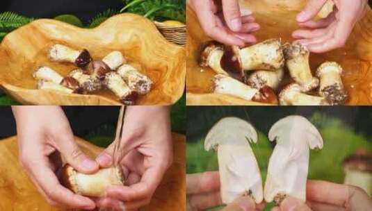 菌菇 蘑菇 赤松茸 姬松茸高清在线视频素材下载