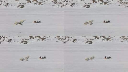 航拍狗拉雪橇高清在线视频素材下载