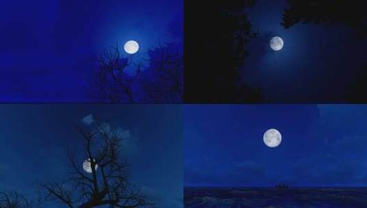 中秋月亮枯树乌云延时摄影高清在线视频素材下载