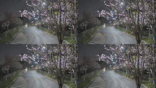 夜色月光下的城市街道高清在线视频素材下载