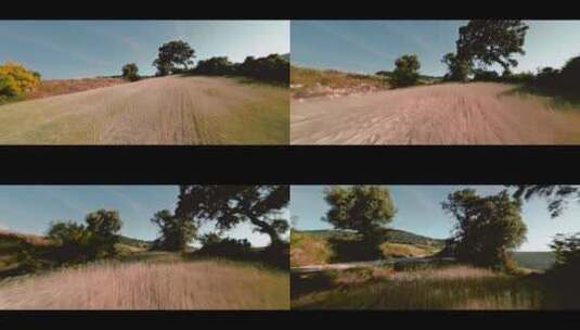 FPV无人机航拍农场麦田树林小路安达卢西亚高清在线视频素材下载