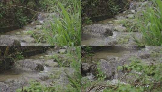 雨天流动的溪流水高清在线视频素材下载