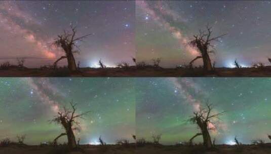 内蒙额济纳怪树林星空夏季银河延时高清在线视频素材下载