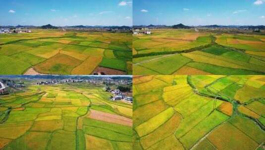 4k 航拍乡村业农田水稻高清在线视频素材下载