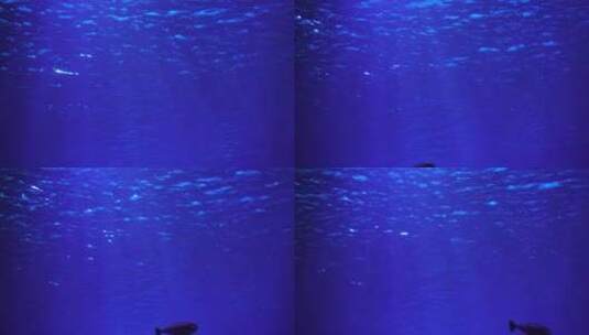水中光影海底世界光影水中光线高清在线视频素材下载