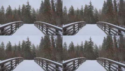 3974_森林中白雪覆盖的桥高清在线视频素材下载