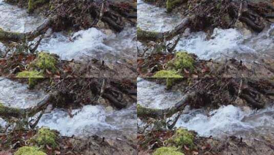 森林里的一条小河高清在线视频素材下载