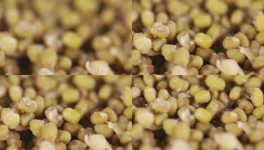 把绿豆过筛碾碎筛出绿豆沙高清在线视频素材下载