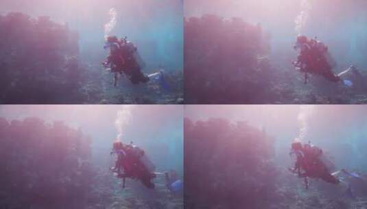 潜水员在海洋暗礁处潜水高清在线视频素材下载