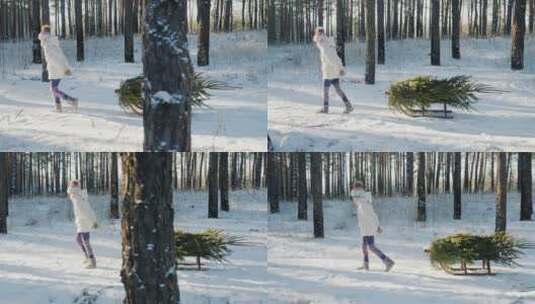 女孩拉着雪橇走在雪后的森林高清在线视频素材下载