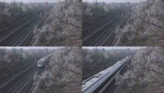 开往春天的列车8K常规视频高清在线视频素材下载