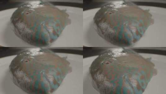 深海鱼青衣LOG原始拍摄素材3高清在线视频素材下载