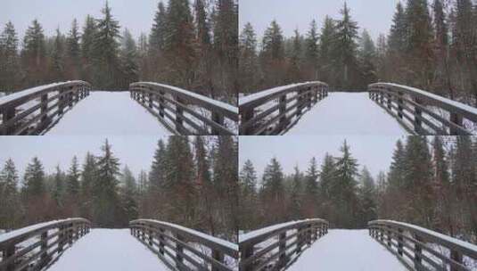 森林中白雪覆盖的桥梁高清在线视频素材下载
