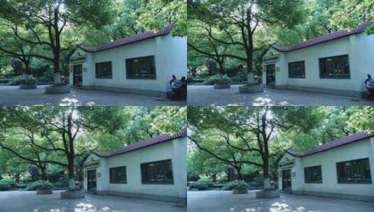 杭州江干区濮家公园视频素材高清在线视频素材下载