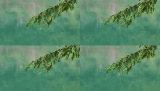 浙江桐庐大奇山蓝绿色的湖水静态画面高清在线视频素材下载