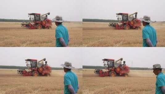 农田收割机高清在线视频素材下载
