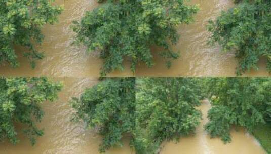 4K拍摄河沟洪水实拍高清在线视频素材下载