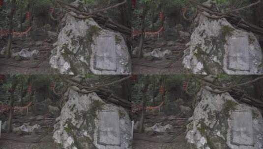杭州三天竺三生石风景高清在线视频素材下载