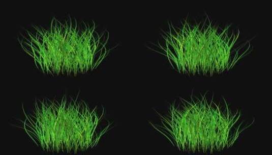 绿色小草生长高清在线视频素材下载