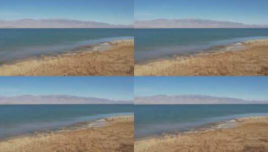 原创 青海小柴旦湖湿地湖泊自然风光航拍高清在线视频素材下载