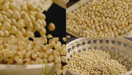 大豆黄豆 升格拍摄 煮豆浆磨豆浆 豆豉高清在线视频素材下载