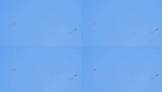 蓝天下飞翔的风筝高清在线视频素材下载