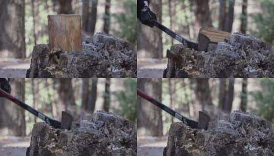男子在森林里用斧头劈柴慢镜头高清在线视频素材下载