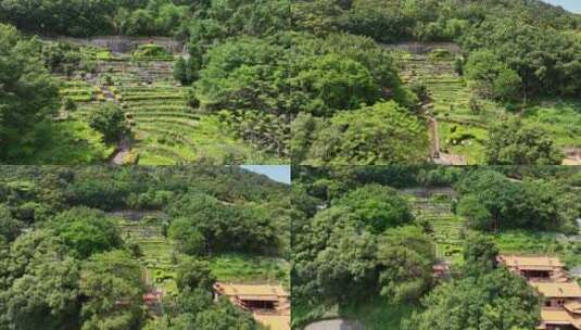 泉州安溪凤山茶叶山凤冠大观园东岳寺城隍庙高清在线视频素材下载