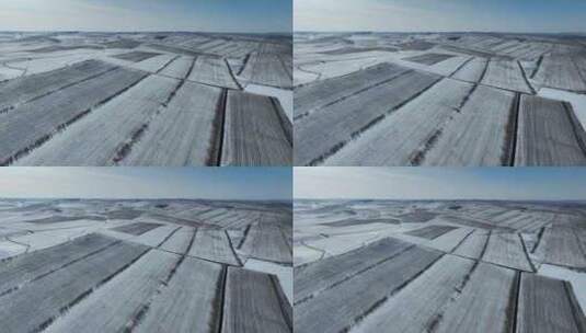 呼伦贝尔冬季垦区风光162高清在线视频素材下载