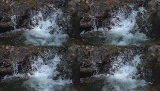 溪流水源高清在线视频素材下载