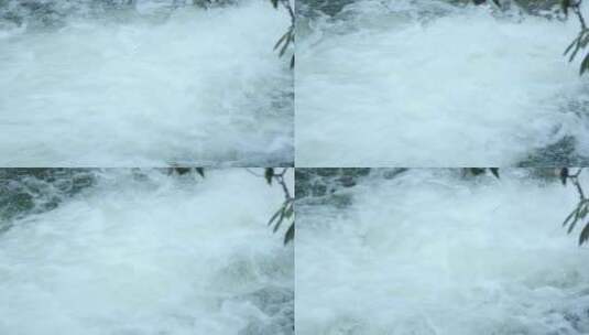 高清实拍小溪流溪水大自然森林高清在线视频素材下载