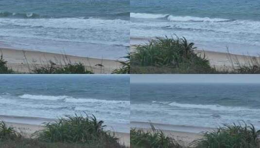 海岸海浪高清在线视频素材下载