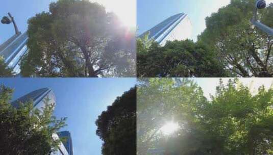 城市美景阳光穿过树叶高清在线视频素材下载