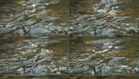 泉水小溪瀑布实拍素材高清在线视频素材下载
