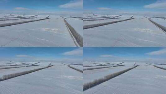 白雪覆盖的农田高清在线视频素材下载