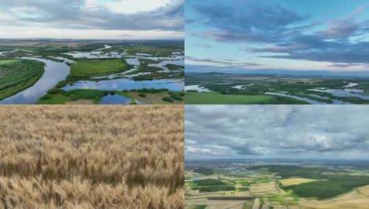 湿地河流农田麦地秋色高清在线视频素材下载