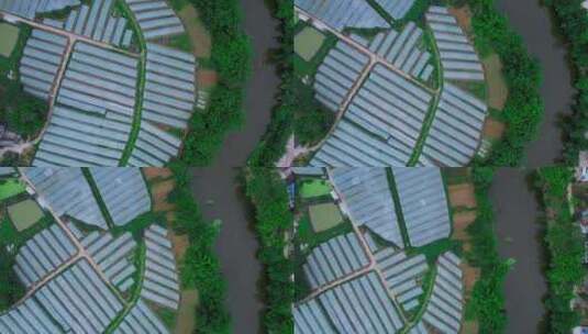 4k实拍农业种植基地大棚温室农场高清在线视频素材下载