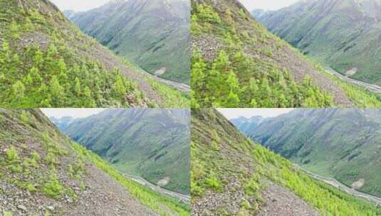 川西小金县结斯沟沿途雪山森林景色航拍高清在线视频素材下载