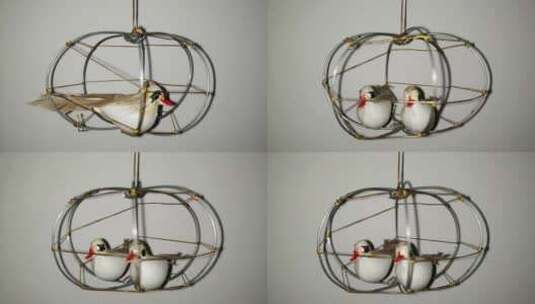 两只被锁在吊笼里的假鸟高清在线视频素材下载