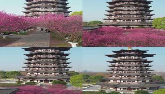 湖南省长沙市洋湖湿地公园白鹭塔梅花盛开高清在线视频素材下载