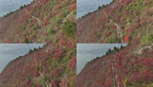 长江三峡巫峡红叶高清在线视频素材下载