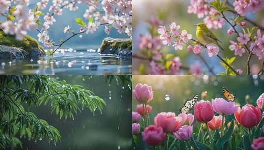 立春/春天/节气/春分/二十四节气/谷雨高清在线视频素材下载