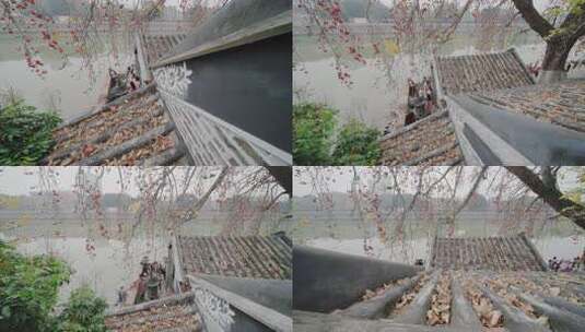 唯美意境岭南特色古建筑旁盛开的百年木棉花高清在线视频素材下载