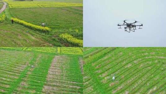 植保无人机播种打农药高清在线视频素材下载
