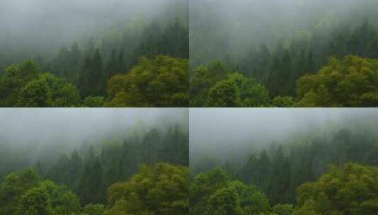 山里的雾谷雨  阴雨云雾天气高清在线视频素材下载
