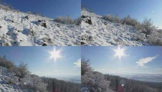 航拍特写被大雪覆盖的森林鹅毛大雪雾凇高清在线视频素材下载