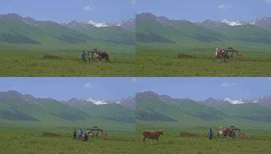 新疆那拉提草原游牧人家高清在线视频素材下载