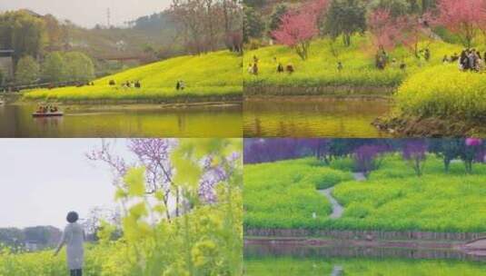 湖畔景区 人流 花海 阳光景区高清在线视频素材下载